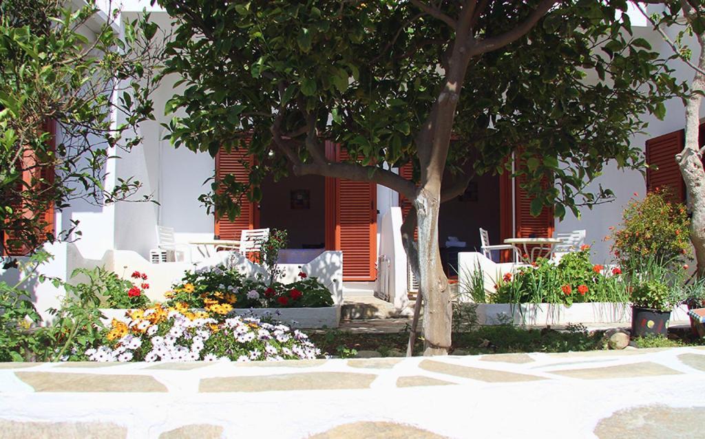 Helios Serifos 利瓦迪奥 外观 照片